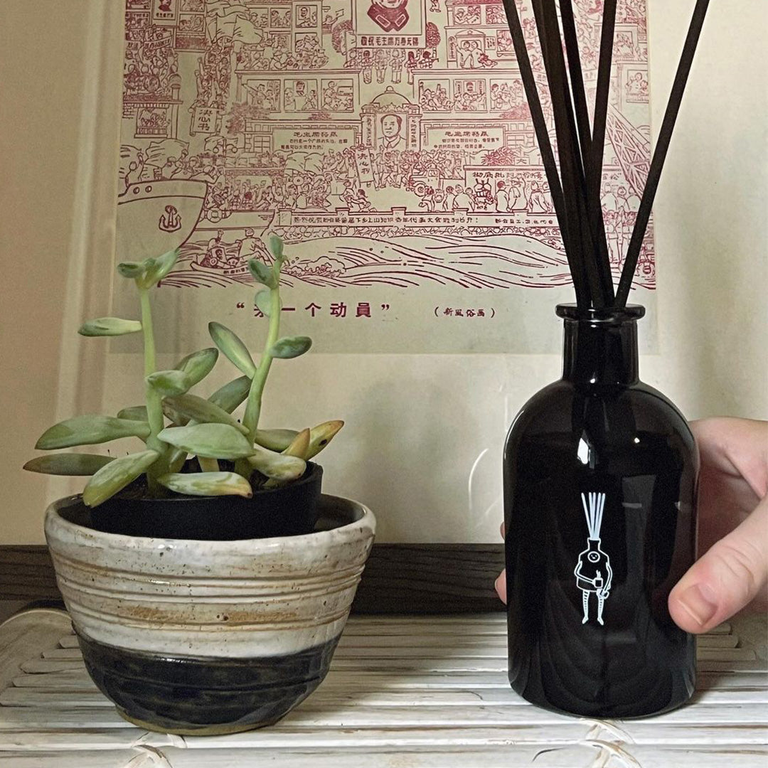 person placing pretty major reed diffuser at home entryway on display shelf